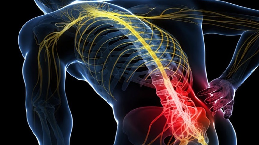 Chiropractic Care and Treatment for Sciatica Pain